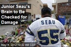 Junior Seau&#39;s Brain to Be Checked for Damage