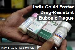 India Could Foster Drug-Resistant Bubonic Plague