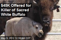 $45K Offered for Killer of Sacred White Buffalo