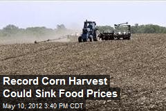 Record Corn Harvest Could Sink Food Prices