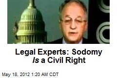 Legal Experts: Sodomy Is a Civil Right