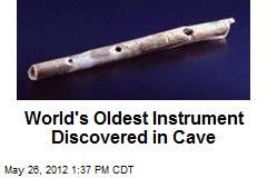 World&#39;s Oldest Instruments: Bird Bone Flutes