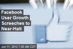 Facebook User Growth Screeches to Near-Halt
