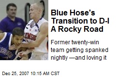 Blue Hose's Transition to D-I A Rocky Road