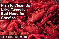Plan to Clean Up Lake Tahoe Is Bad News for Crayfish