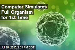 Computer Simulates Full Organism for 1st Time