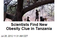 Scientists Find New Obesity Clue in Tanzania