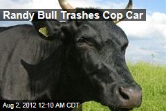 Randy Bull Trashes Cop Car