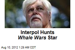 Interpol Hunts Whale Wars Star