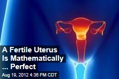 A Fertile Uterus Is Mathematically ... Perfect