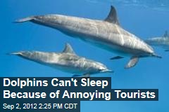 Dolphins Can&#39;t Sleep Because of Annoying Tourists