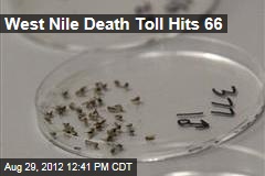 West Nile Death Toll Hits 66