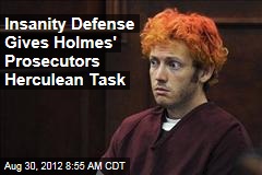 Insanity Defense Gives Holmes&#39; Prosecutors Herculean Task