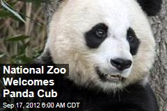 National Zoo Welcomes Panda Cub