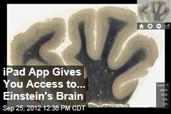 iPad App Gives You Access to... Einstein&#39;s Brain