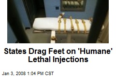 States Drag Feet on 'Humane' Lethal Injections