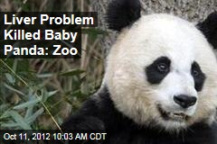 Liver Problem Killed Baby Panda: Zoo