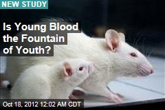 Is Young Blood the Fountain of Youth?