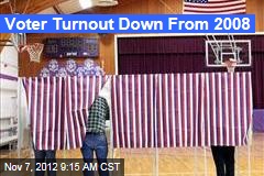 Voter Turnout Down From 2008