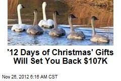 &#39;12 Days of Christmas&#39; Gifts Will Set You Back $107K