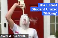 The Latest Student Craze: &#39;Milking&#39;