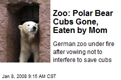 Zoo: Polar Bear Cubs Gone, Eaten by Mom