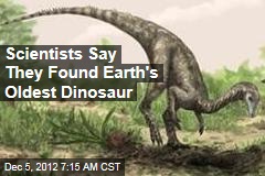 Scientists Say They Found Earth&#39;s Oldest Dinosaur