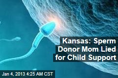 Kansas: Sperm Donor Mom Lied for Child Support