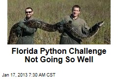 Florida Python Challenge Not Going So Well