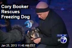 Cory Booker Rescues Freezing Dog
