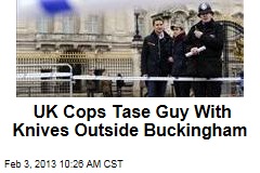 UK Cops Tase Guy With Knives Outside Buckingham