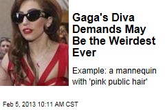 Gaga&#39;s Diva Demands May Be the Weirdest Ever