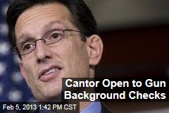 Cantor Open to Gun Background Checks