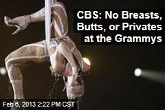CBS: No Breasts, Butts, or Privates at the Grammys