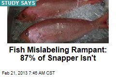 Fish Mislabeling Rampant: 87% of Snapper Isn&#39;t