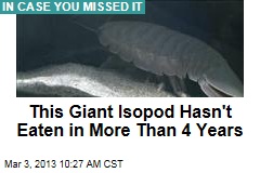 This Giant Isopod Hasn&#39;t Eaten in More Than 4 Years