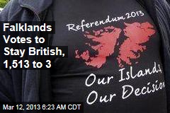 Pro-British Side Wins Falklands Vote, 1,513 to 3