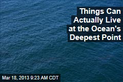 Things Can Actually Live at the Ocean&#39;s Deepest Point