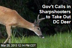Gov&#39;t Calls in Sharpshooters to Take Out DC Deer