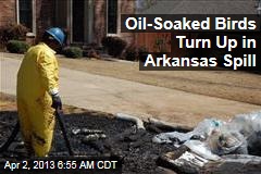 Oil-Soaked Birds Turn Up in Arkansas Spill