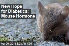 New Hope for Diabetics: Mouse Hormone