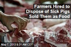 Farmers Hired to Dispose of Sick Pigs Sold Them as Food