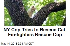 NY Cop Tries to Rescue Cat, Firefighters Rescue Cop