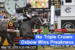 No Triple Crown: Oxbow Wins Preakness