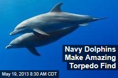 Navy Dolphins Make Amazing Torpedo Find