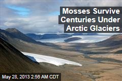 Mosses Survive Centuries Under Arctic Ice