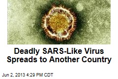 Deadly SARS-like Virus Spreads to Italy