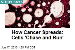 How Cancer Spreads: Cells &#39;Chase and Run&#39;