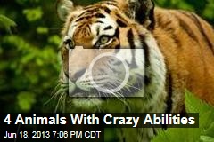 4 Animals With Crazy Abilities