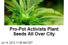 Pro-Pot Activists Plant Seeds All Over City